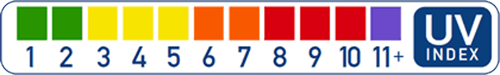 Example of the UV Index